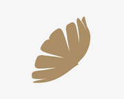 Perle Silk- Unveiling Silk Sophistication: Your Destination for Luxury logo